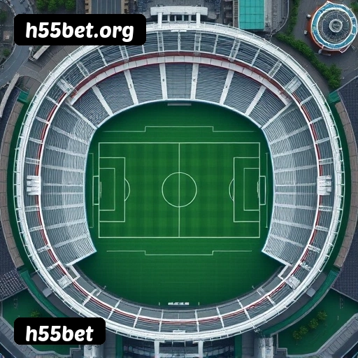 Níveis do programa VIP da h55bet